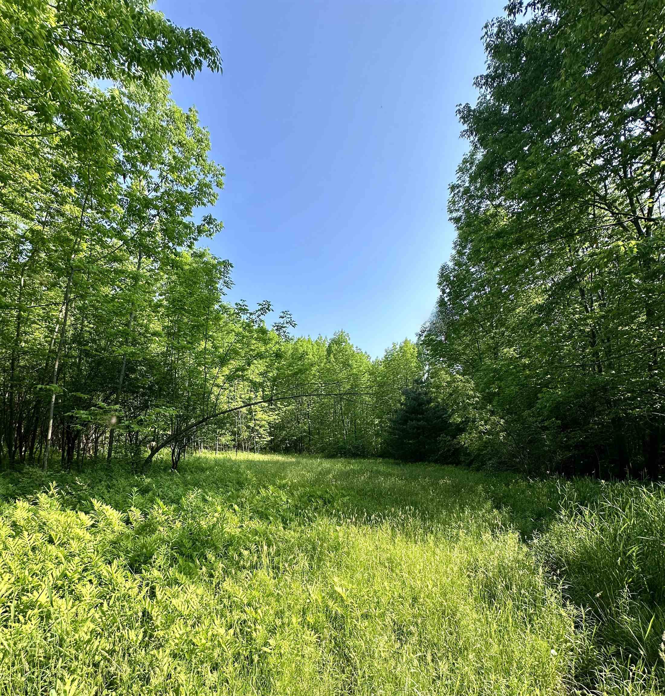 2500 Colvin Hill Road Danby, VT 05739 - Photo 22 of 25 Gallery Image 22