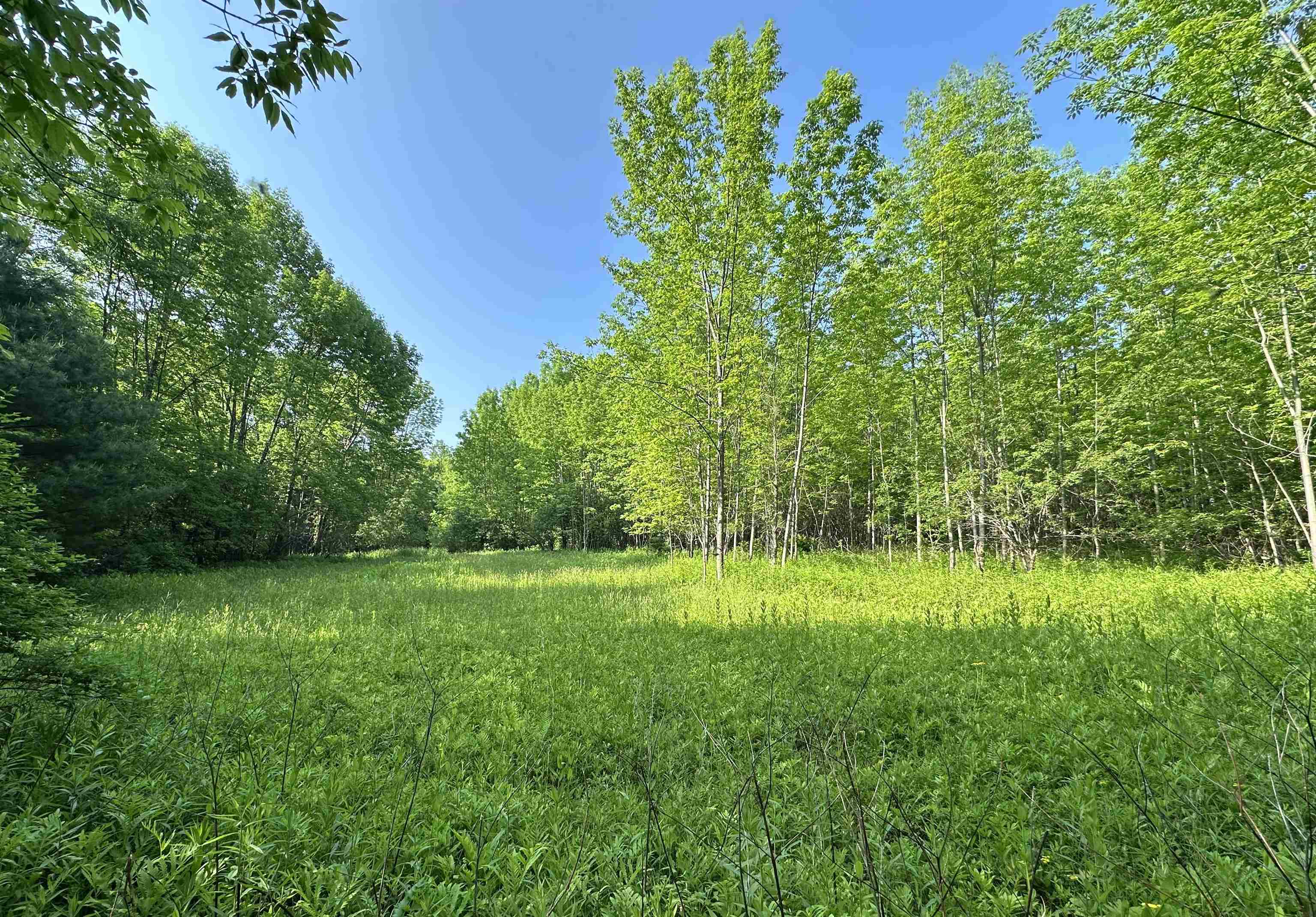 2500 Colvin Hill Road Danby, VT 05739 - Photo 23 of 25 Gallery Image 23