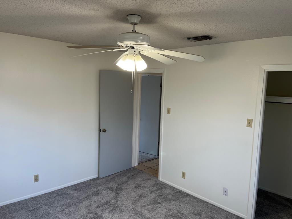 305 3rd Street Center Point, TX 78010 - Photo 15 of 20