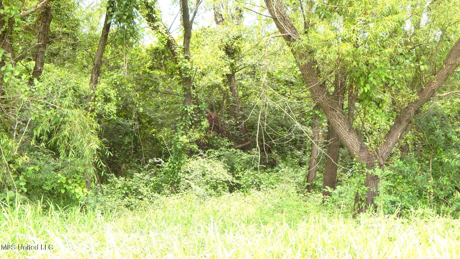 6338 West Oak Grove Road Hernando, MS 38632 - Photo 24 of 37 DSCN7017