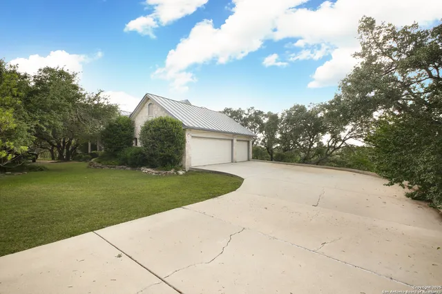 a view of a yard with plants and large trees