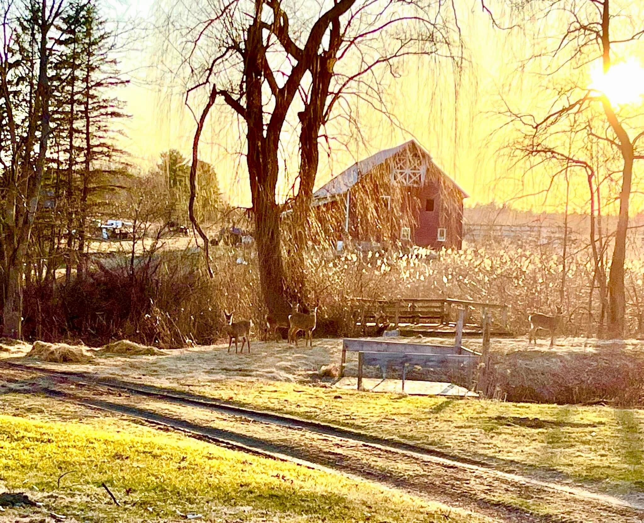801 Mace Chasm Road Keeseville, NY 12944 - Photo 56 of 57