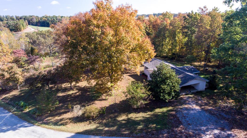6615 Slaughter Road Santa Fe, TN 38482 - Photo 3 of 30 a view of a garden with plants and large trees