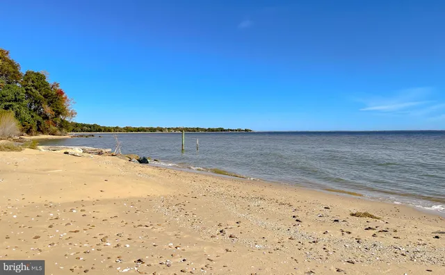 a view of a patio with table and chairs and potted plants