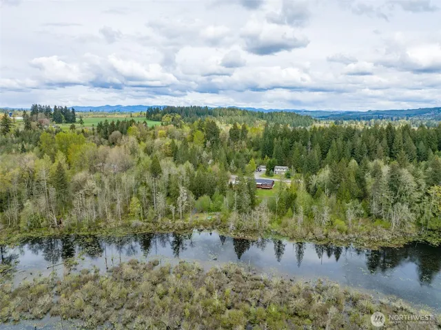 a view of a lake with lots of trees
