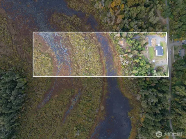 a view of a swimming pool with a yard