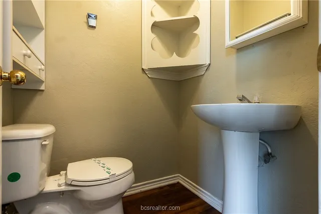 a bathroom with a sink and a toilet