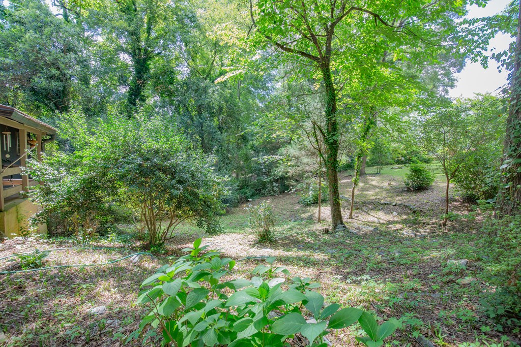 4557 Ritch Haven Road Columbus, GA 31909 - Photo 6 of 12 Gallery Image 6