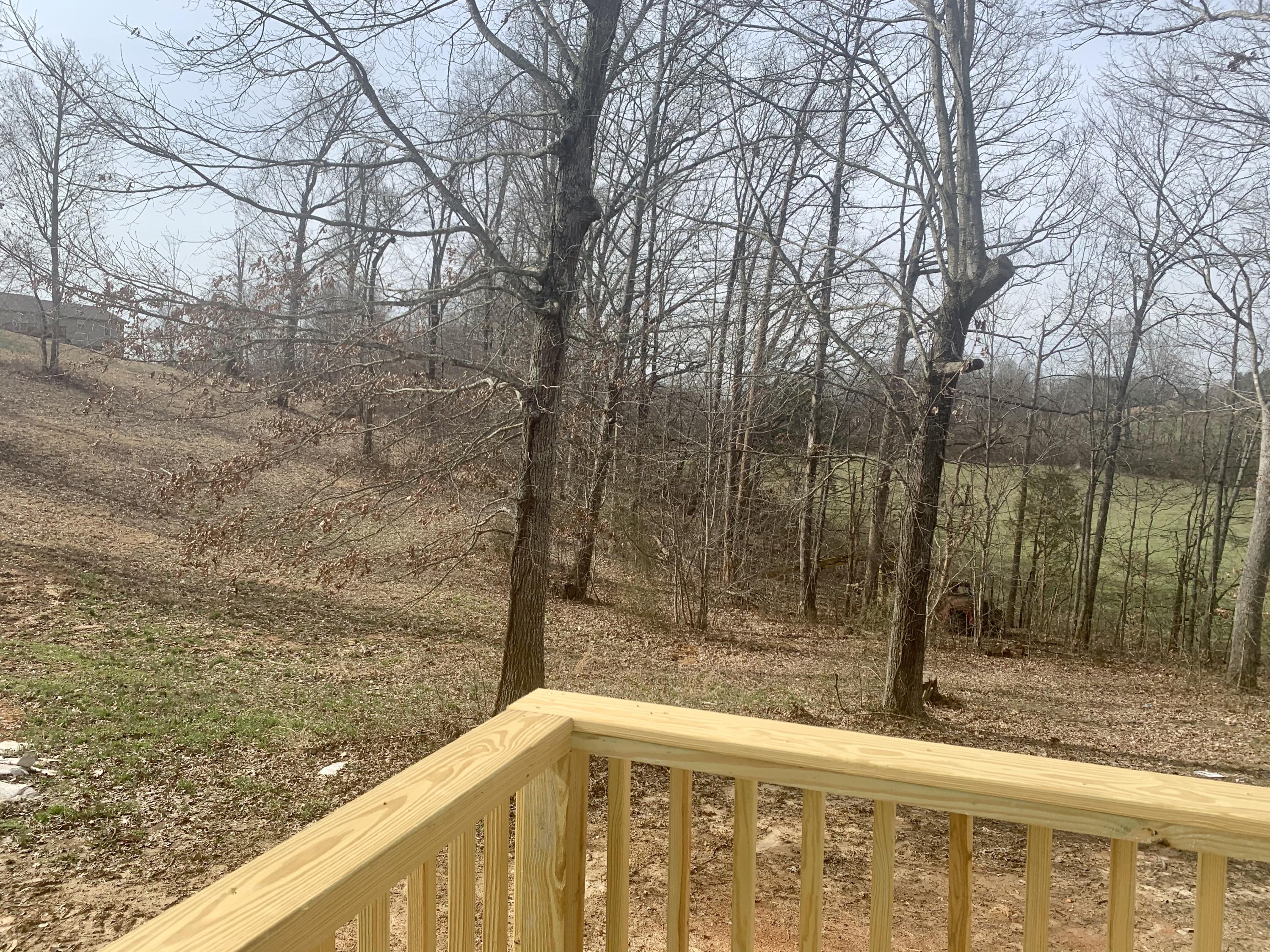 Cline Road New Tazewell, TN 37825 - Photo 19 of 23 8EE67032-121F-4F89-B6E3-C4C896A94A95