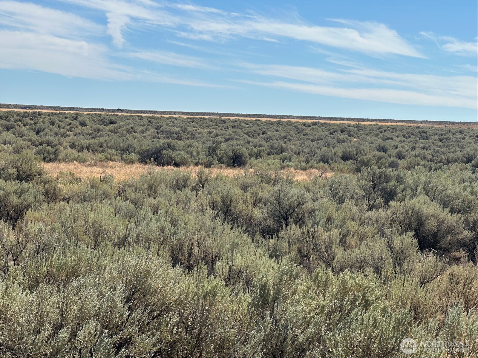 0 J Road Coulee City, WA 99115 - Photo 6 of 12 a view of a field with an ocean
