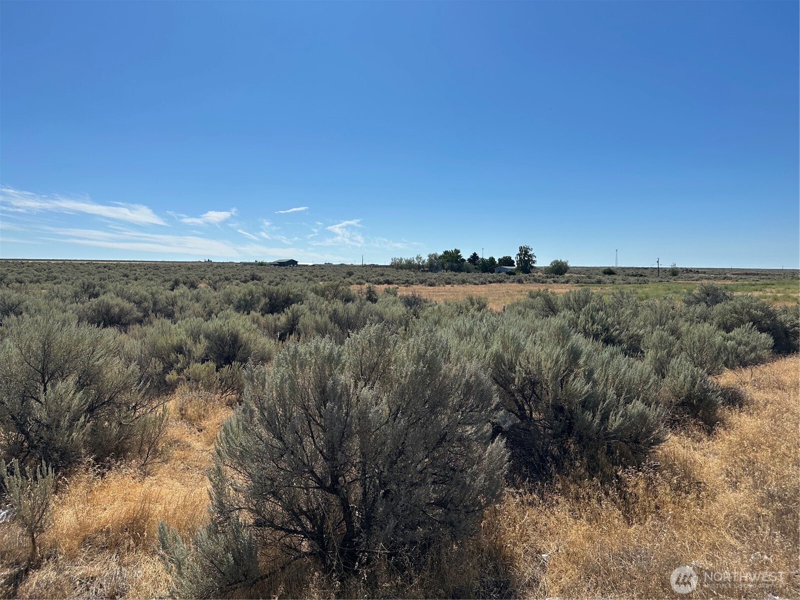 0 J Road Coulee City, WA 99115 - Photo 9 of 12 a view of a city with lush green forest