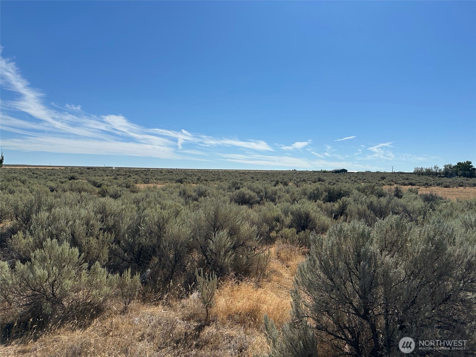 0 J Road Coulee City, WA 99115 - Photo 10 of 12 a view of a dry yard with green space