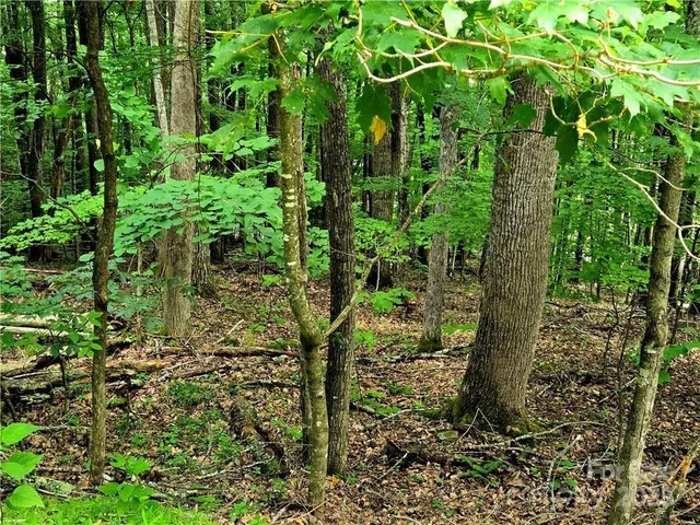 $130,000 | Tbd Tbd Red Fox Ridge, Unit 5, Boone, NC 28607