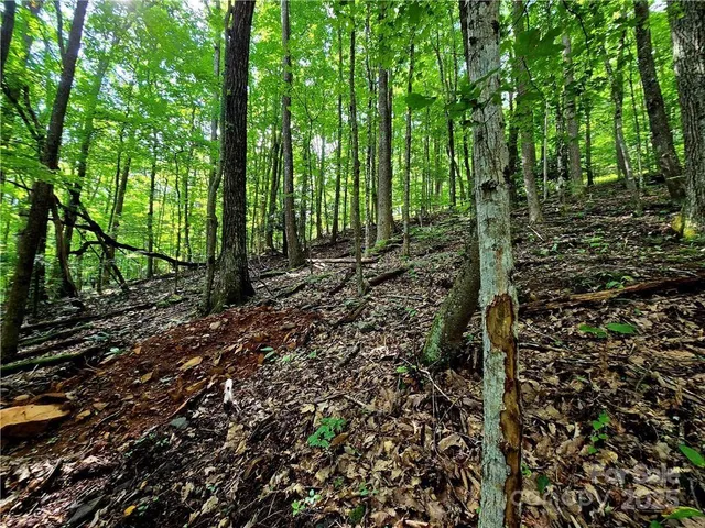 $130,000 | Tbd Tbd Red Fox Ridge, Unit 5, Boone, NC 28607