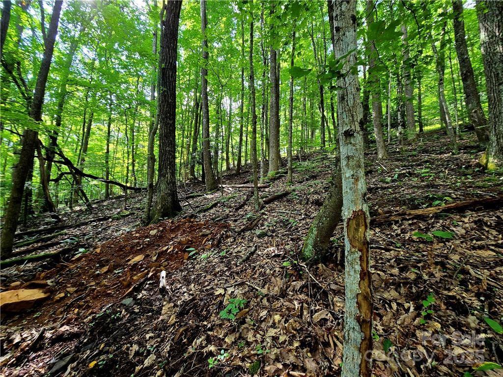 Tbd Tbd Red Fox Ridge, Unit 5 Boone, NC 28607 - Photo 11 of 17