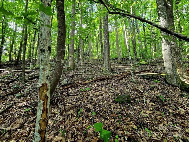 $130,000 | Tbd Tbd Red Fox Ridge, Unit 5, Boone, NC 28607