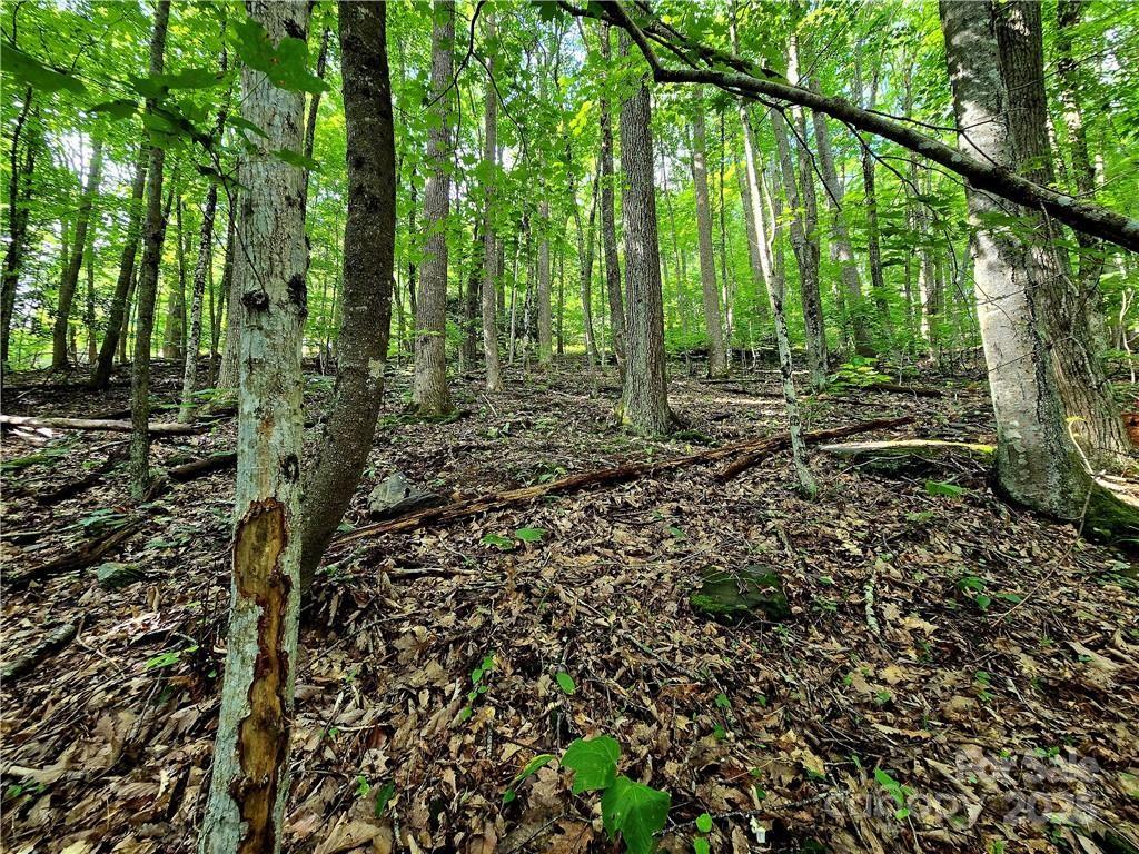 Tbd Tbd Red Fox Ridge, Unit 5 Boone, NC 28607 - Photo 12 of 17