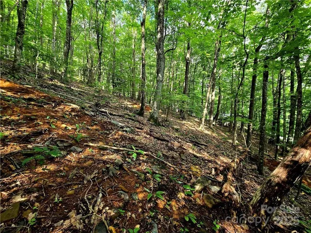 $130,000 | Tbd Tbd Red Fox Ridge, Unit 5, Boone, NC 28607