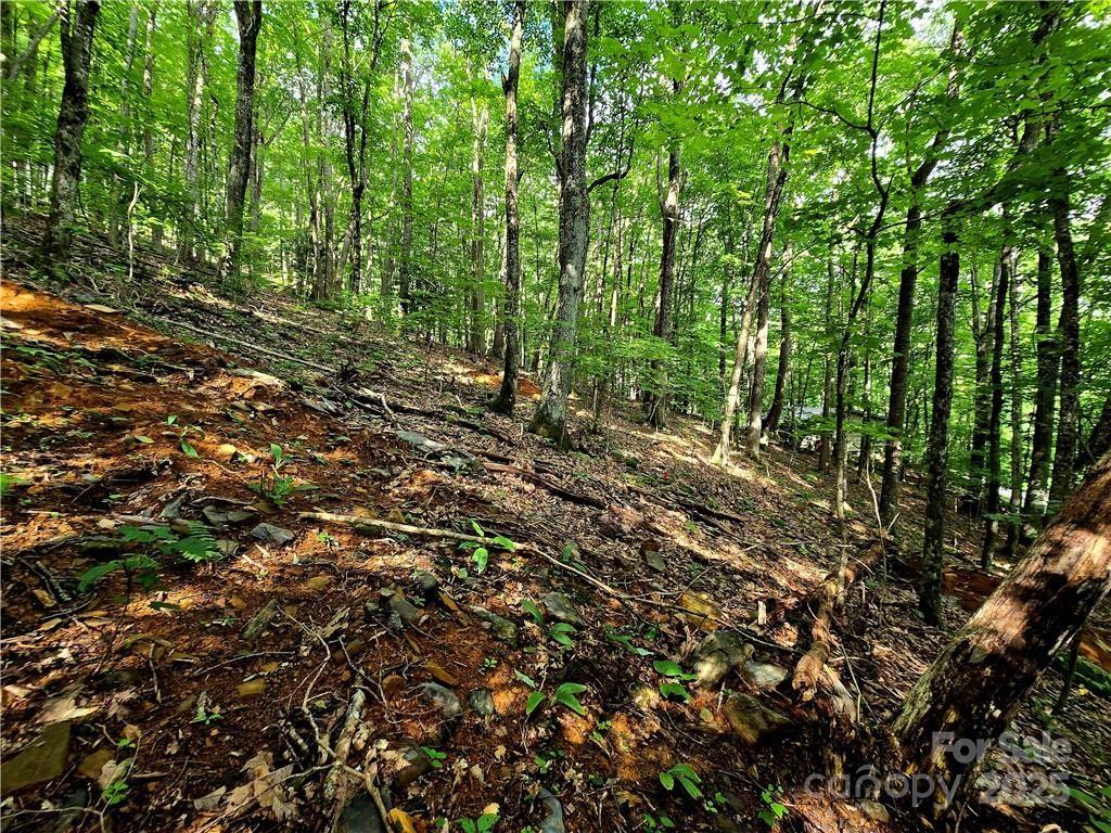 Tbd Tbd Red Fox Ridge, Unit 5 Boone, NC 28607 - Photo 13 of 17