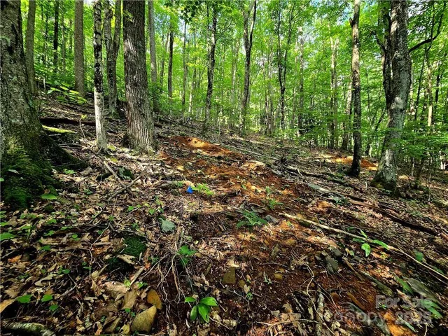 $130,000 | Tbd Tbd Red Fox Ridge, Unit 5, Boone, NC 28607