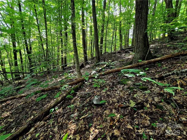 $130,000 | Tbd Tbd Red Fox Ridge, Unit 5, Boone, NC 28607