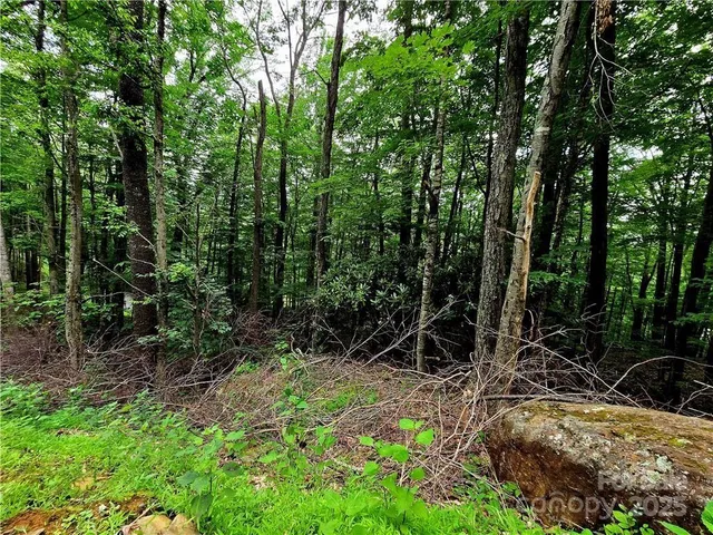 $130,000 | Tbd Tbd Red Fox Ridge, Unit 5, Boone, NC 28607