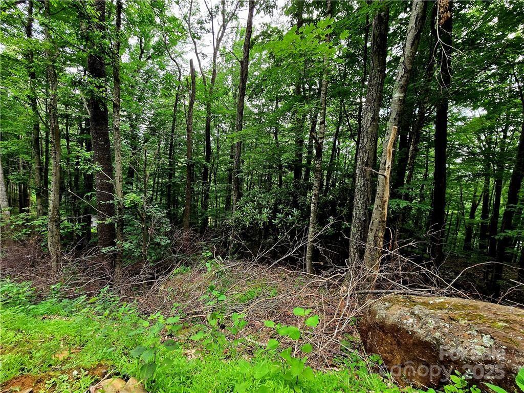 Tbd Tbd Red Fox Ridge, Unit 5 Boone, NC 28607 - Photo 16 of 17