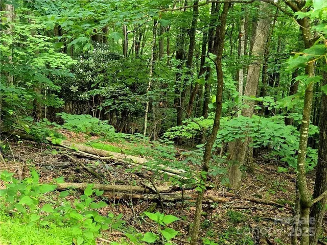 $130,000 | Tbd Tbd Red Fox Ridge, Unit 5, Boone, NC 28607