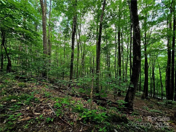 $130,000 | Tbd Tbd Red Fox Ridge, Unit 5, Boone, NC 28607