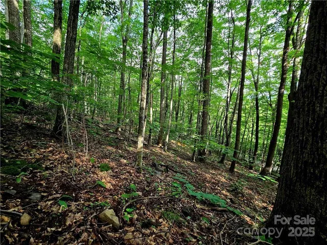 $130,000 | Tbd Tbd Red Fox Ridge, Unit 5, Boone, NC 28607