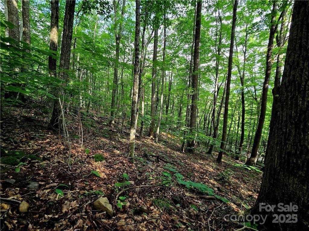 Tbd Tbd Red Fox Ridge, Unit 5 Boone, NC 28607 - Photo 5 of 17