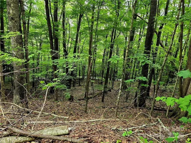 $130,000 | Tbd Tbd Red Fox Ridge, Unit 5, Boone, NC 28607