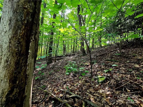 $130,000 | Tbd Tbd Red Fox Ridge, Unit 5, Boone, NC 28607