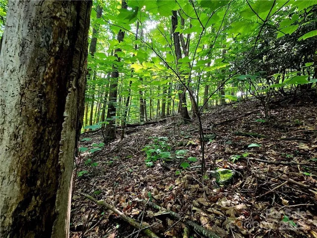 $130,000 | Tbd Tbd Red Fox Ridge, Unit 5, Boone, NC 28607