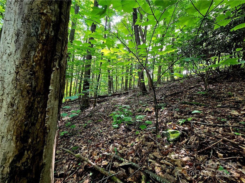 Tbd Tbd Red Fox Ridge, Unit 5 Boone, NC 28607 - Photo 7 of 17