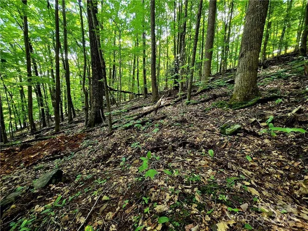 $130,000 | Tbd Tbd Red Fox Ridge, Unit 5, Boone, NC 28607