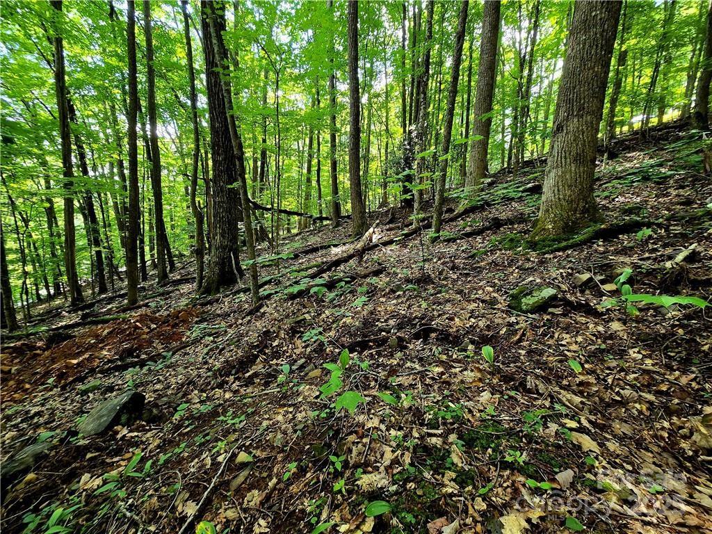 Tbd Tbd Red Fox Ridge, Unit 5 Boone, NC 28607 - Photo 8 of 17