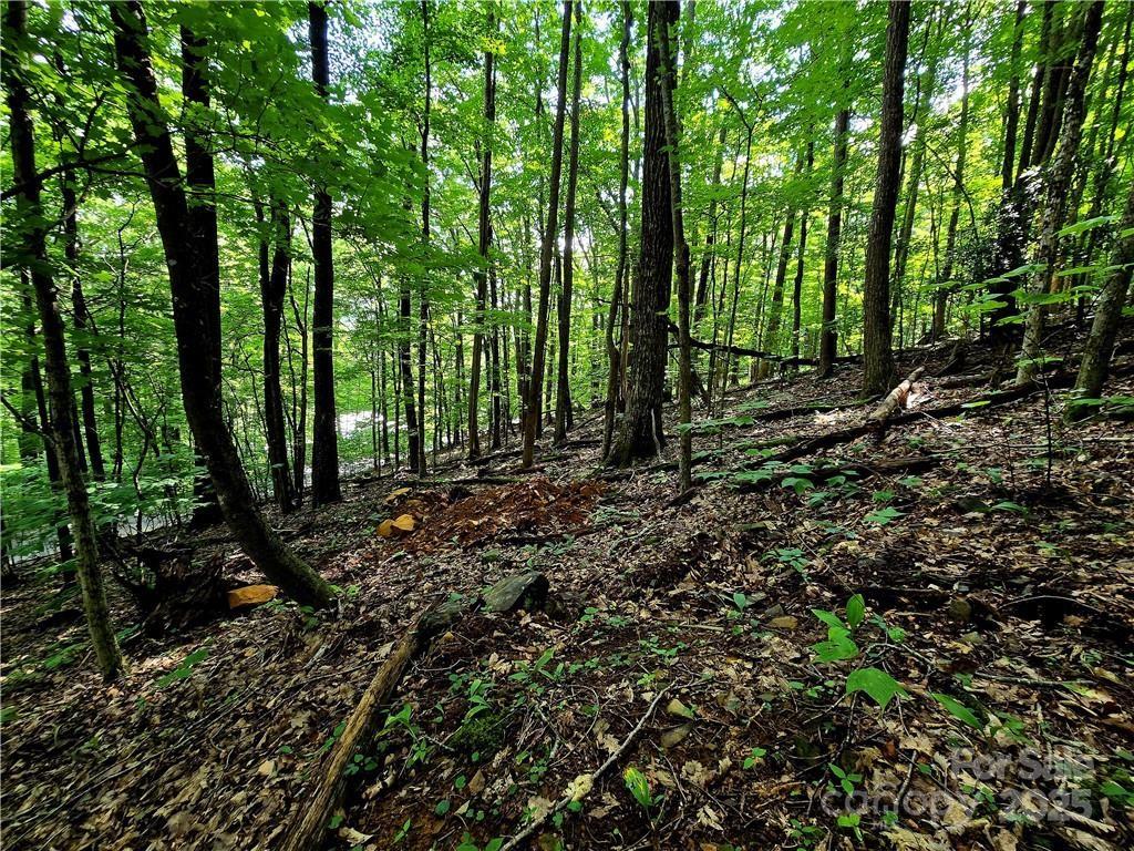 Tbd Tbd Red Fox Ridge, Unit 5 Boone, NC 28607 - Photo 9 of 17