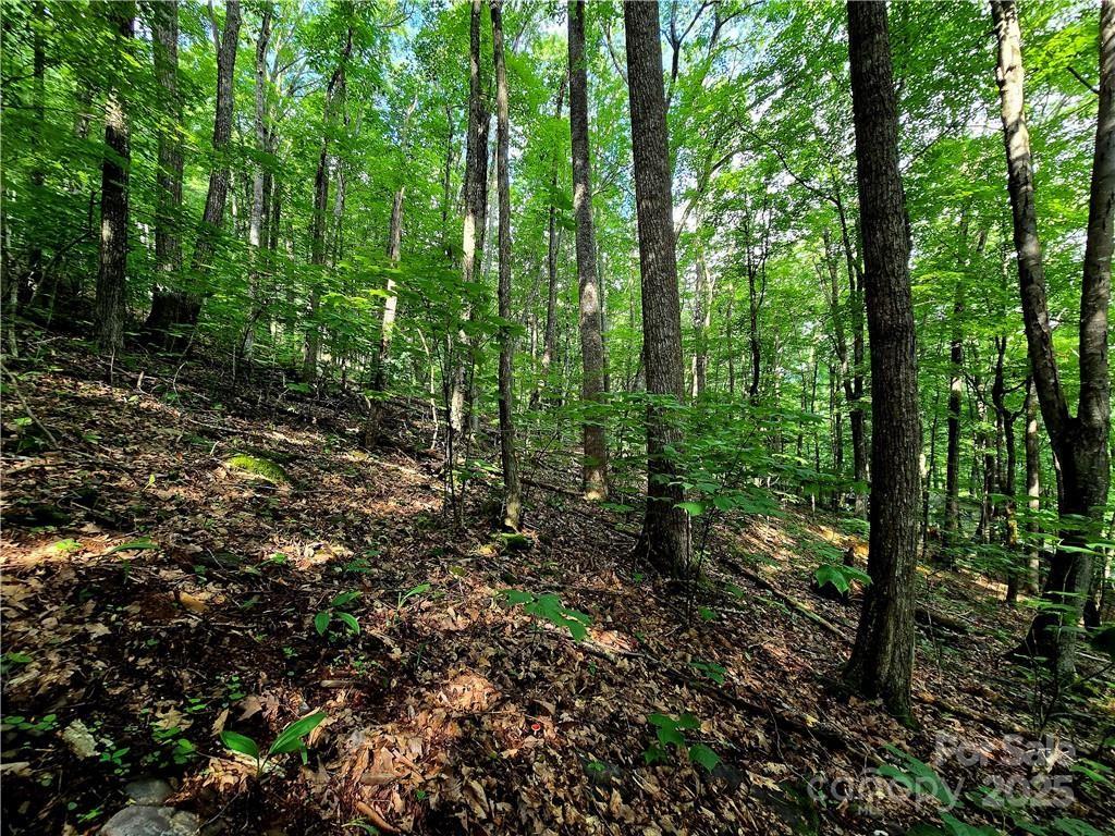 Tbd Tbd Red Fox Ridge, Unit 5 Boone, NC 28607 - Photo 10 of 17