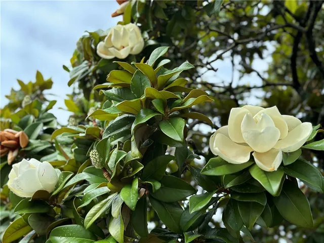 $447,000 | 8606 Gladedale Drive, Woodway, TX 76712