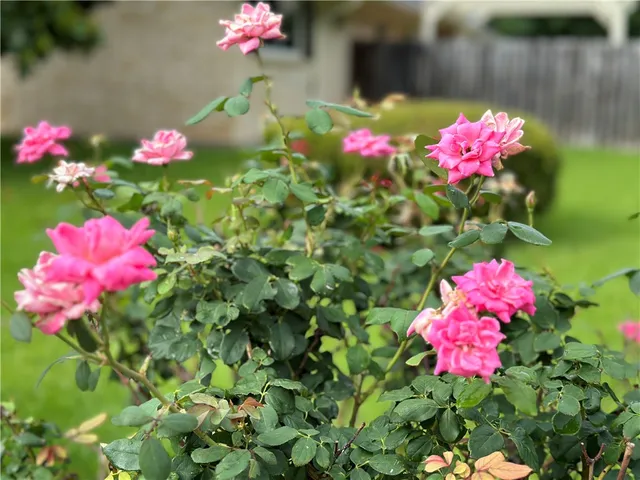 $447,000 | 8606 Gladedale Drive, Woodway, TX 76712