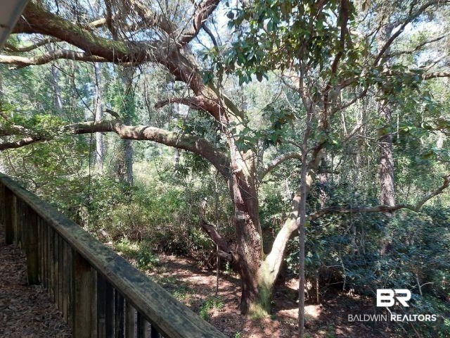18765 Keller Road Foley, AL 36535 - Photo 38 of 49 Beautiful live oaks