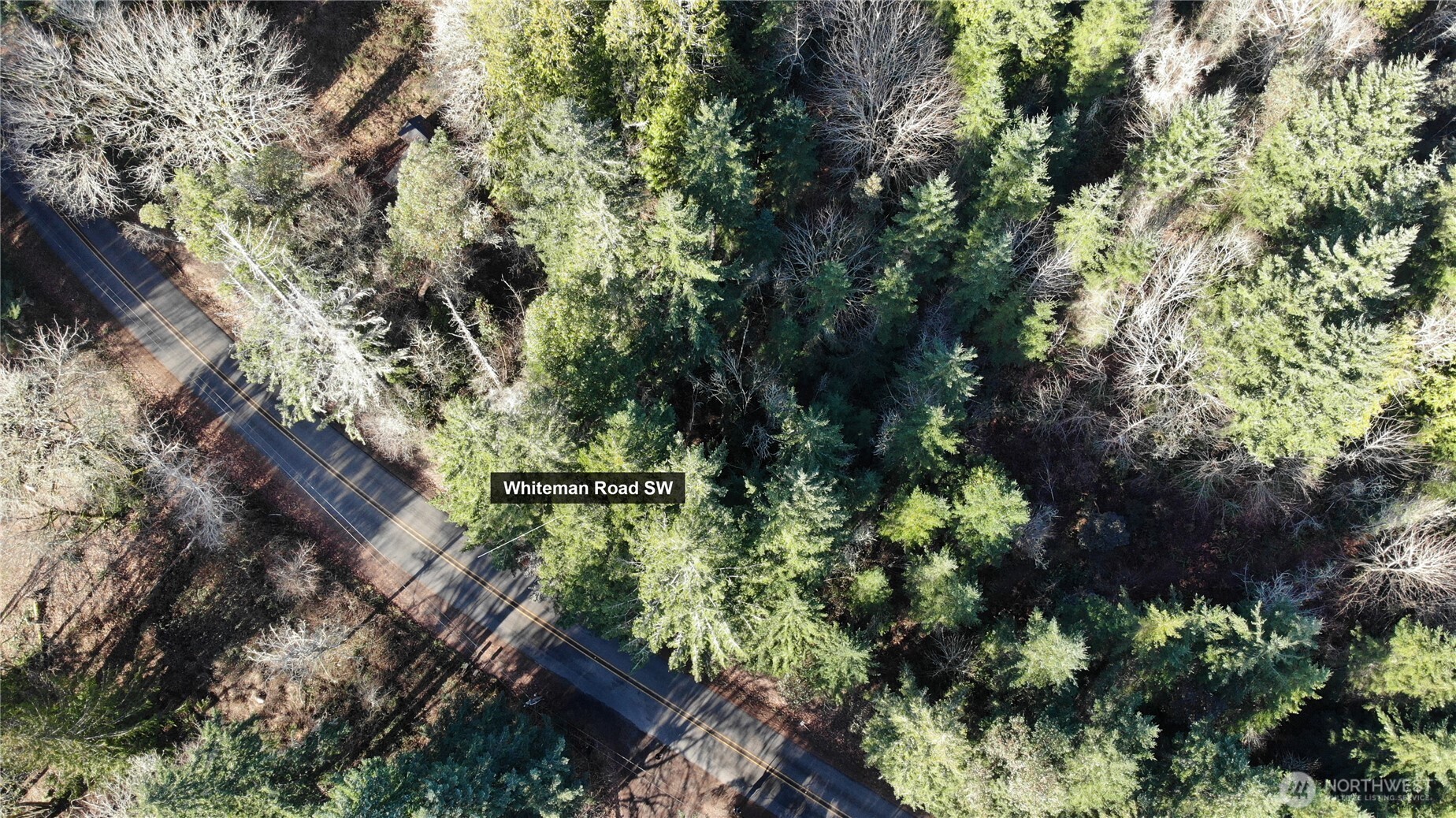 7515 Whiteman Road Southwest Longbranch, WA 98351 - Photo 4 of 18 a view of a tree with a yard