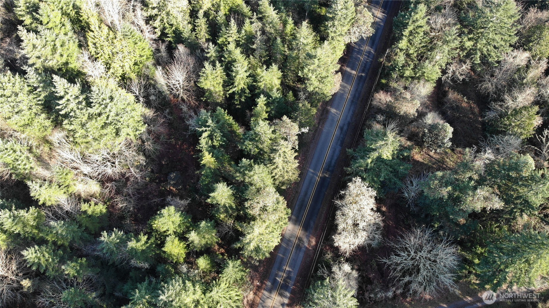 7515 Whiteman Road Southwest Longbranch, WA 98351 - Photo 5 of 18 a view of tree