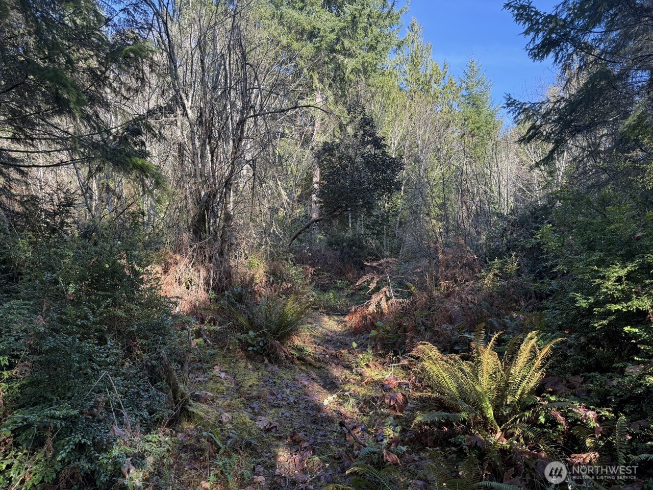 7515 Whiteman Road Southwest Longbranch, WA 98351 - Photo 7 of 18 a view of a plant in a garden
