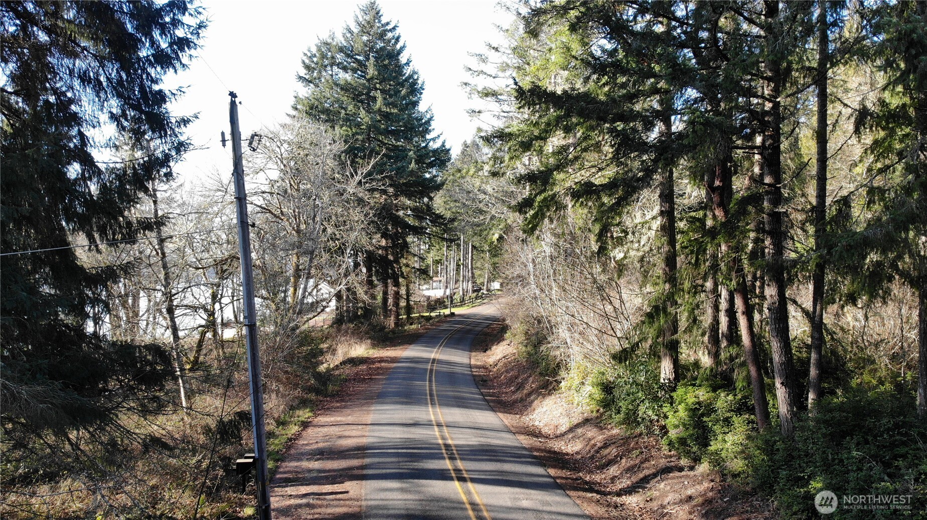 7515 Whiteman Road Southwest Longbranch, WA 98351 - Photo 8 of 18 a view of pathway with tree in the background