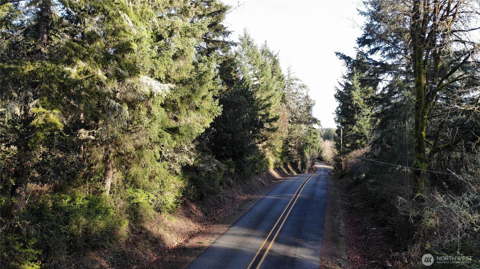 7515 Whiteman Road Southwest Longbranch, WA 98351 - Photo 9 of 18 a view of outdoor space and yard
