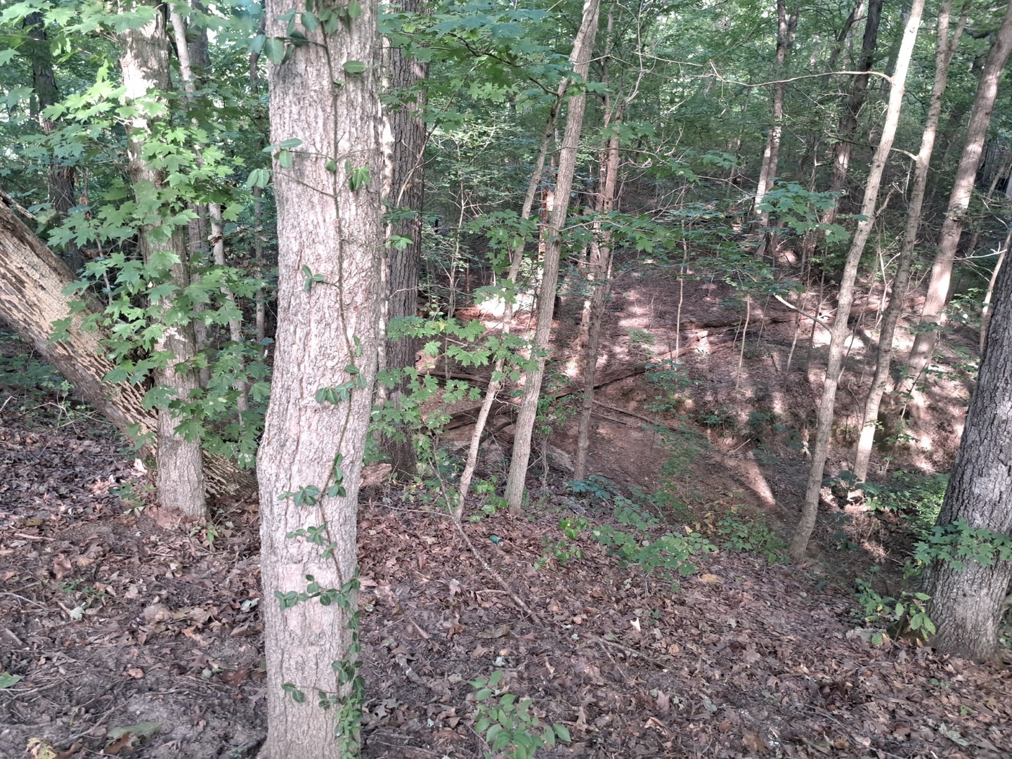 3952-4013 Devils Fork Road Carbondale, IL 62902 - Photo 5 of 9 Gallery Image 5