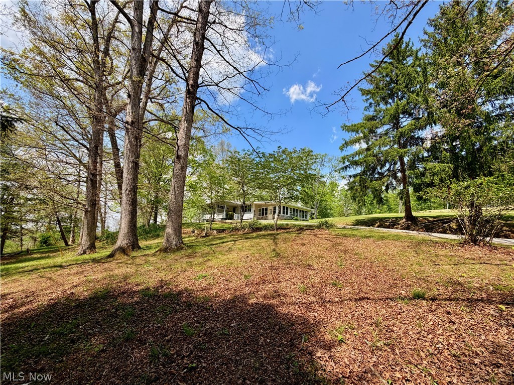 2163 Bull Run Road Waverly, WV 26184 - Photo 45 of 47