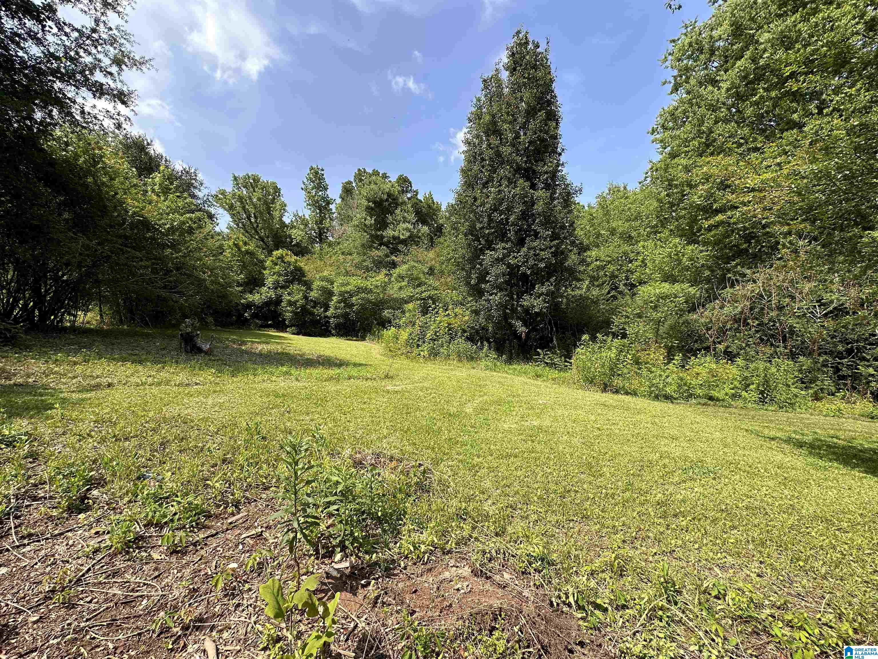 205 Deerfield Road Hayden, AL 35079 - Photo 16 of 27 Gallery Image 16